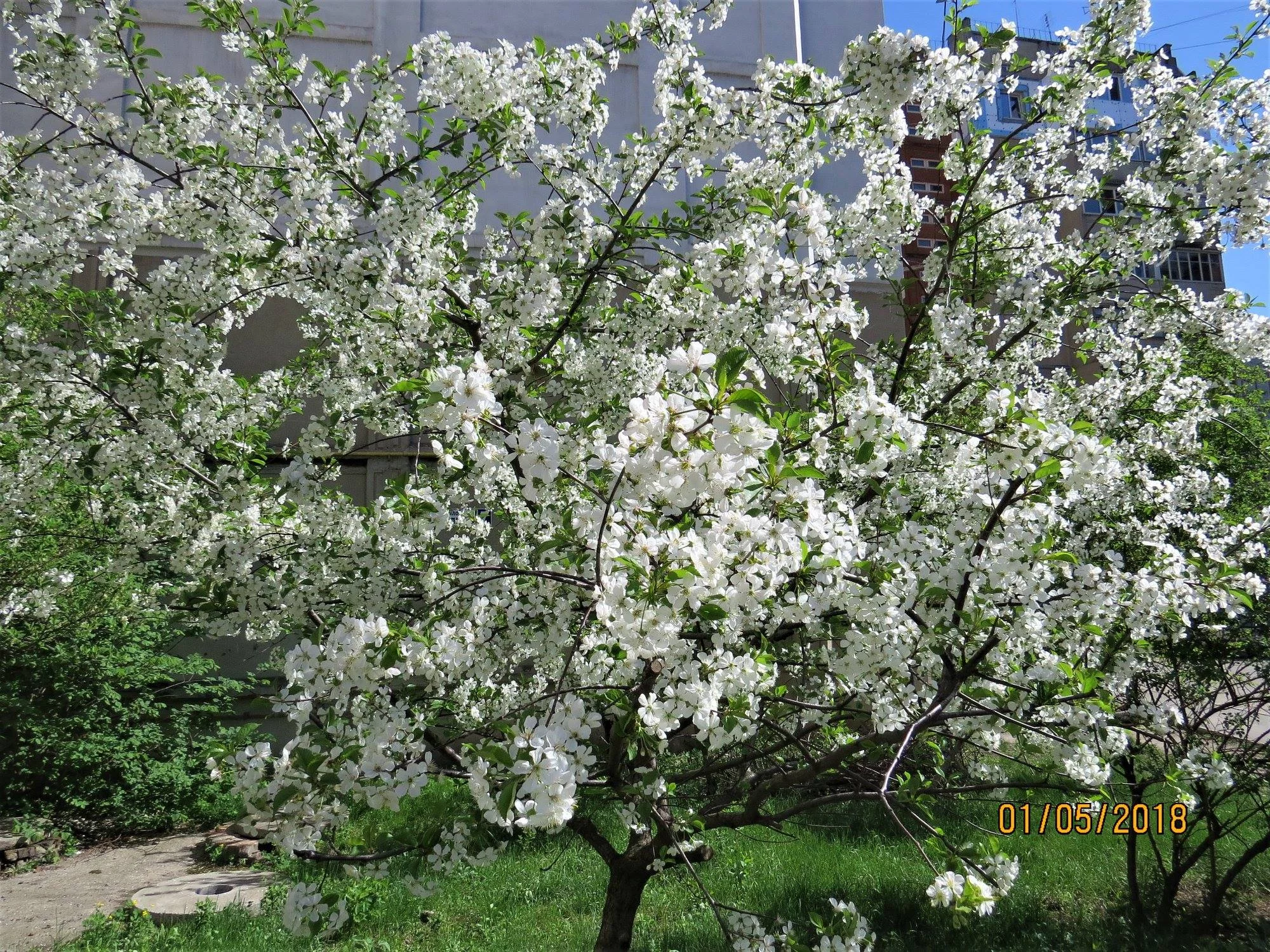 7ehcfe.webp
