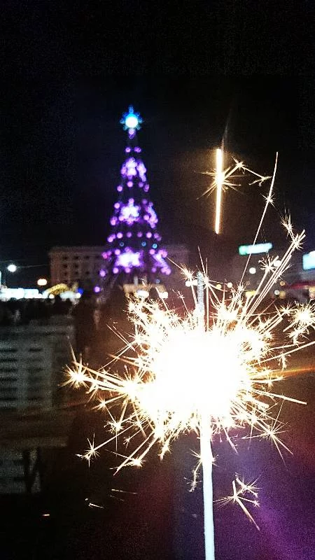 7ejcbh.webp