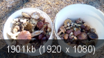 7f02f00f3066c6fee4c21a869e893e3b.png