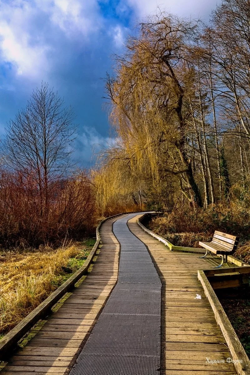 7f0975c7e0f267002.webp
