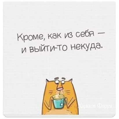 7f097cfc88b44aed2772.webp