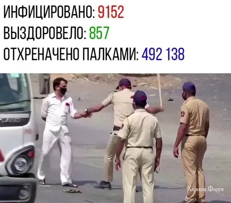 7f216a73ab8521148.webp