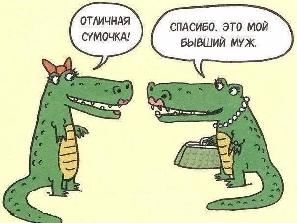 7F24CNnjCnI.webp