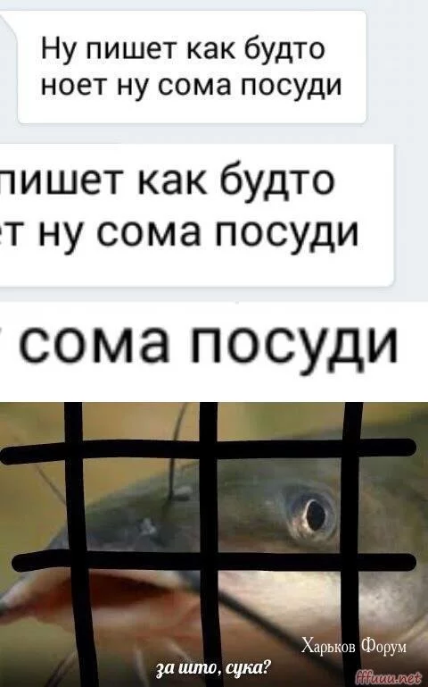 7f31ccc2967cc24a794ecac2.webp