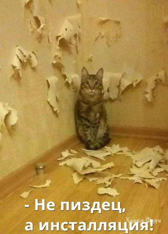 7f3db3a48dcfa08a.webp