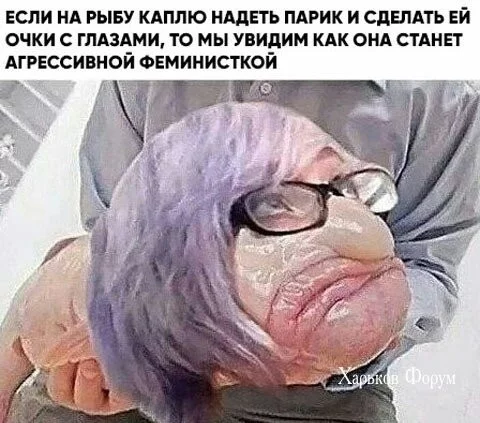 7f3e96ef2dc189dd92c4.webp