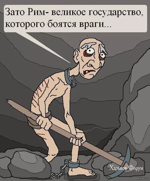 7f513bac511265779827d.webp