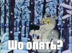 7f61aebfe0844d847d144a2a.jpg
