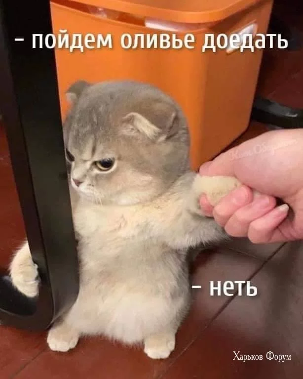 7f7cb42a8b14c57c.webp