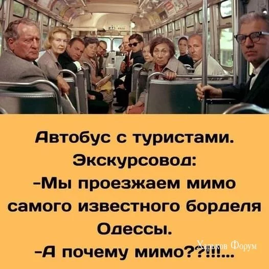 7f91ce88960e4155a43f2.webp