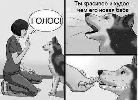 7fa903bb4e85d66ce4fec39.webp