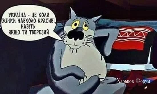 7fb654ebef8e6ba775e.webp