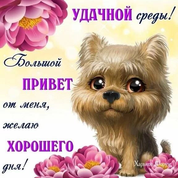 7fbb868e4c946a035fc.webp