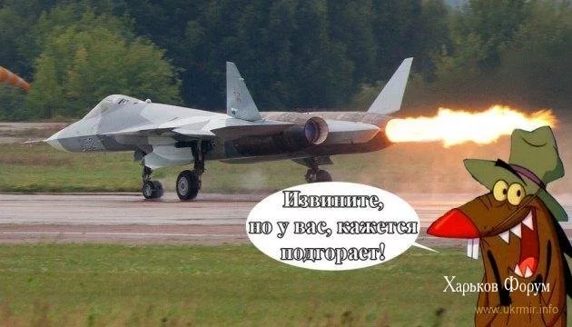 7fe462b20f644263bafd8a9.webp