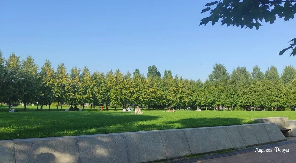 7ff1b1918c38ef96.webp