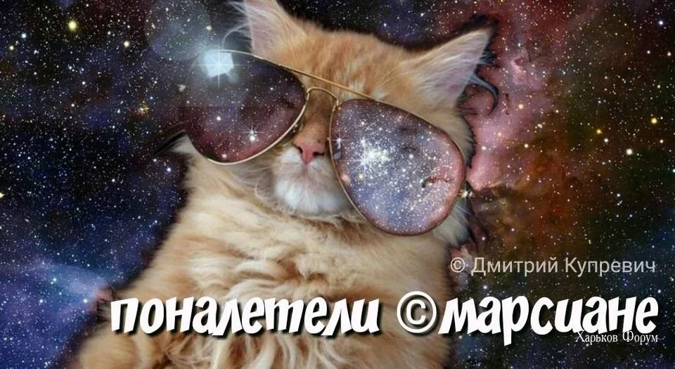 7ff399c42c81389d.webp