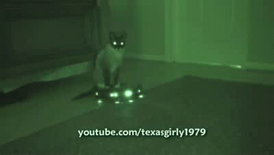 7ffafj.gif
