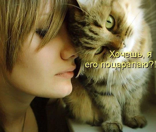 7fhbfc.webp
