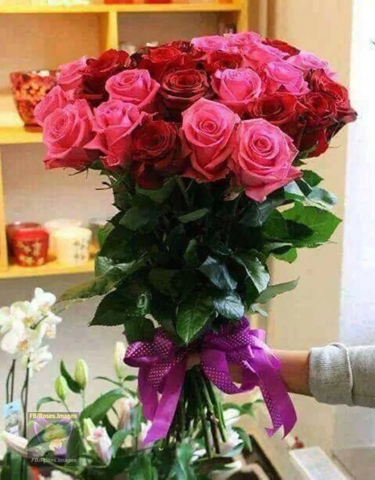 7gadbd.webp