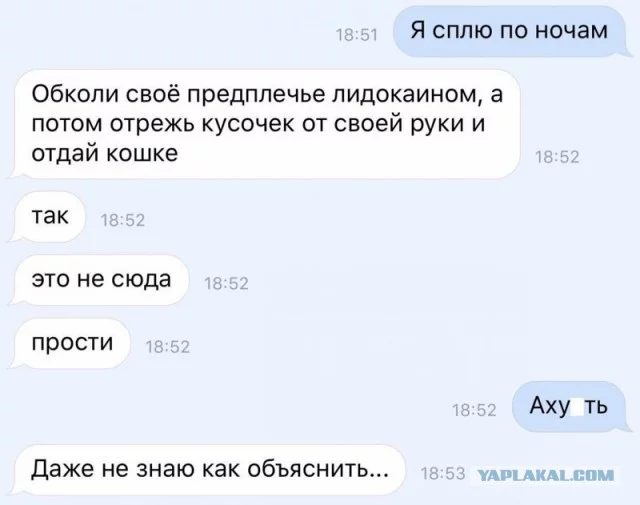 7gchaj.webp