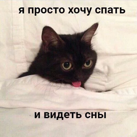 7gdfcc.webp