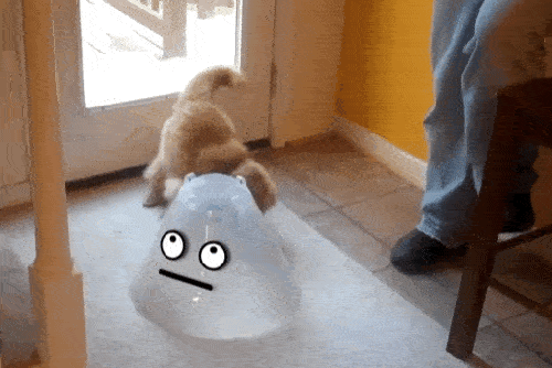 7gfbeh.gif