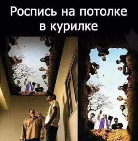 7haaec.webp