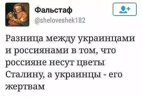 7habce.webp