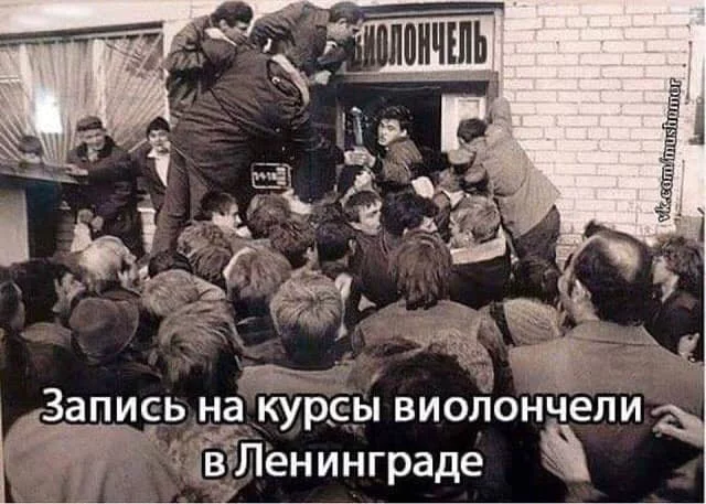 7hbhbg.webp