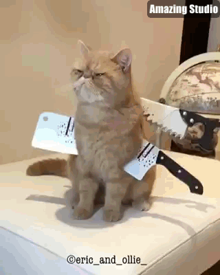 7hccdd.gif