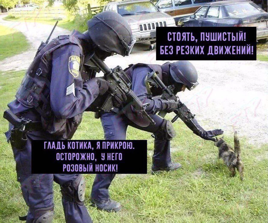 7hcggc.webp