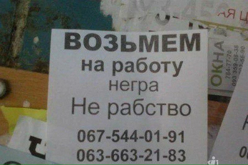 7hgafd.webp