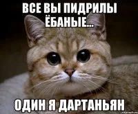 7hhjfj.webp