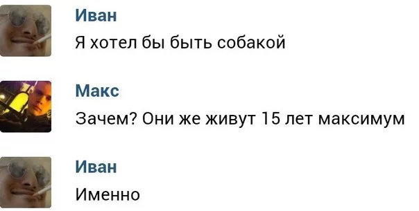 7jbfaf.webp
