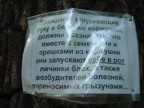 7jbhjc.webp