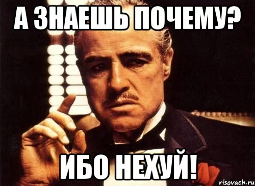 7jdjhh.webp