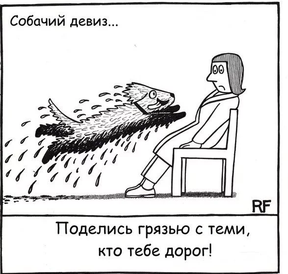 7jghhg.webp