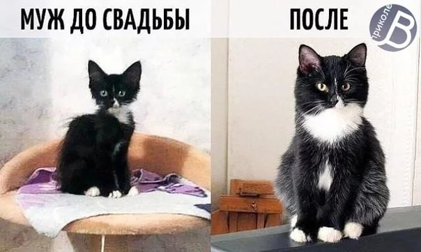 7Pp_s-Qjhaw.webp
