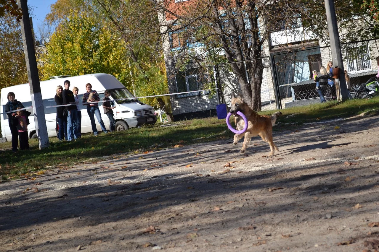 7sVeus5eMfE.webp