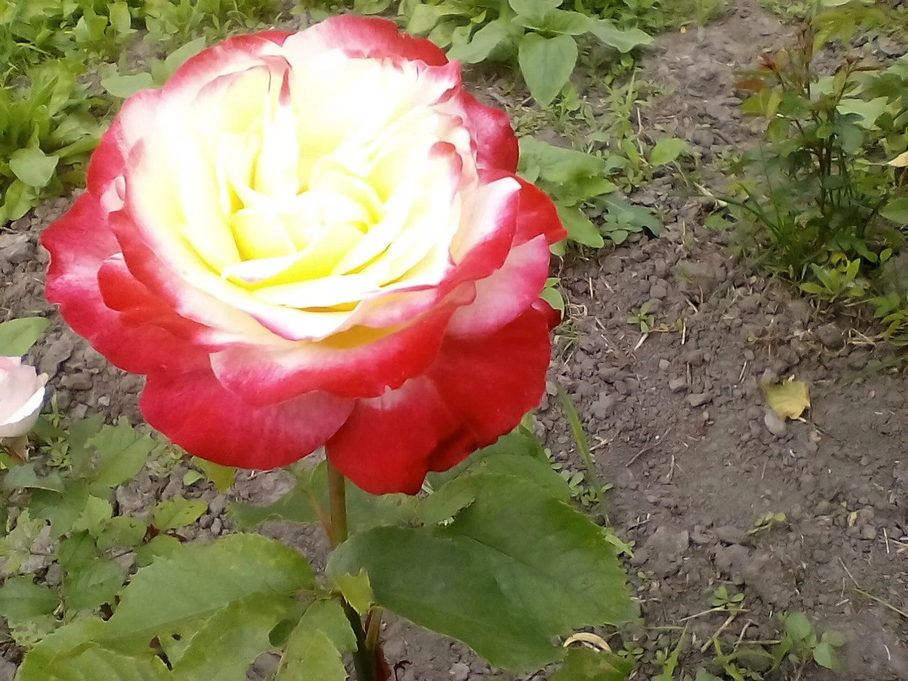 7t0KsClH7Wo.webp
