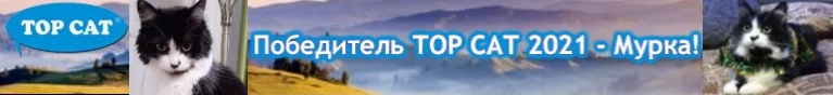 7tgWn4Ew_o.webp