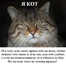 7WMWTUM3Szss1KbM5ROLc6ph1OO5wqiwQfuj3IslD_kkOV2zog.webp