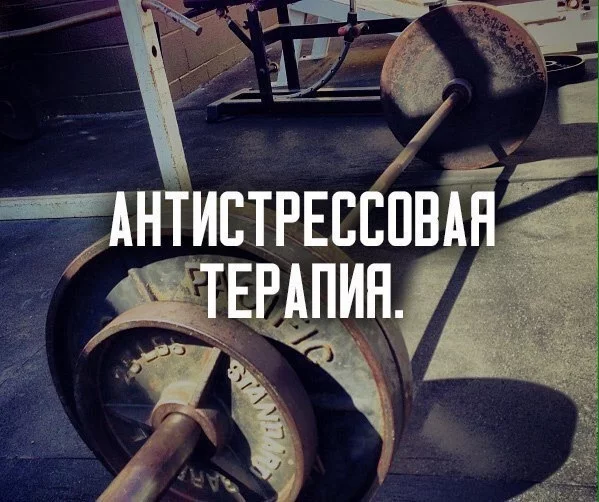 7y2mZj3eb5I.webp