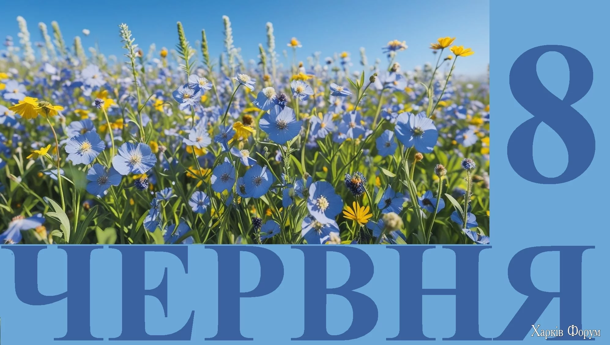 8-CHERVNYA.webp