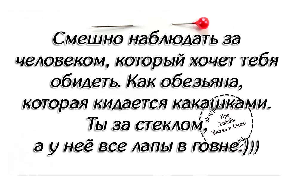 8.webp