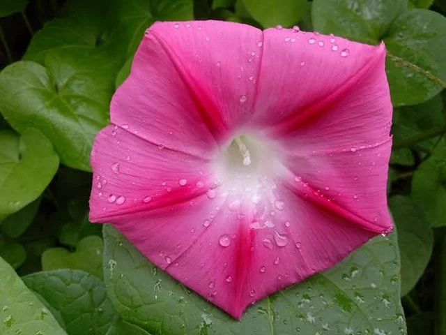 8.webp