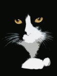 80089302.gif