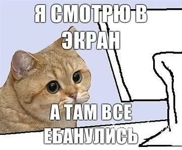 800df1abcf4b57e558b.webp