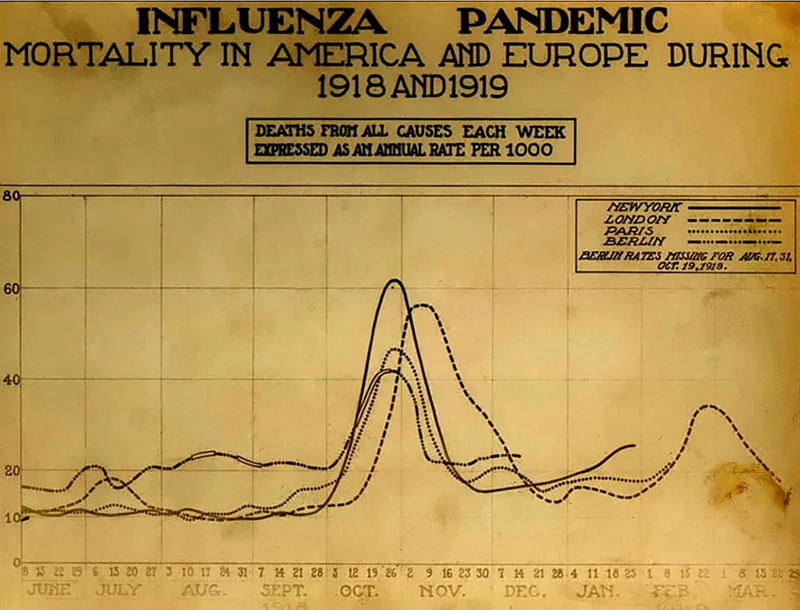 800px-Spanish_flu_death_chart.webp