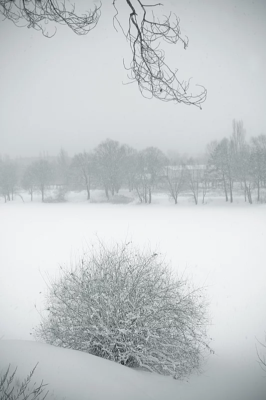 800xsnow2.webp